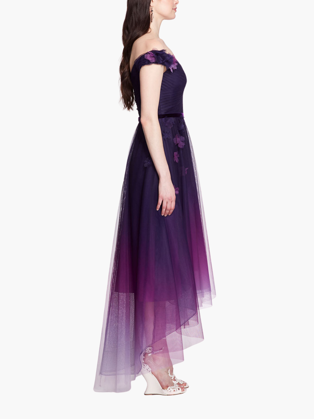 Ombre Tulle Gown