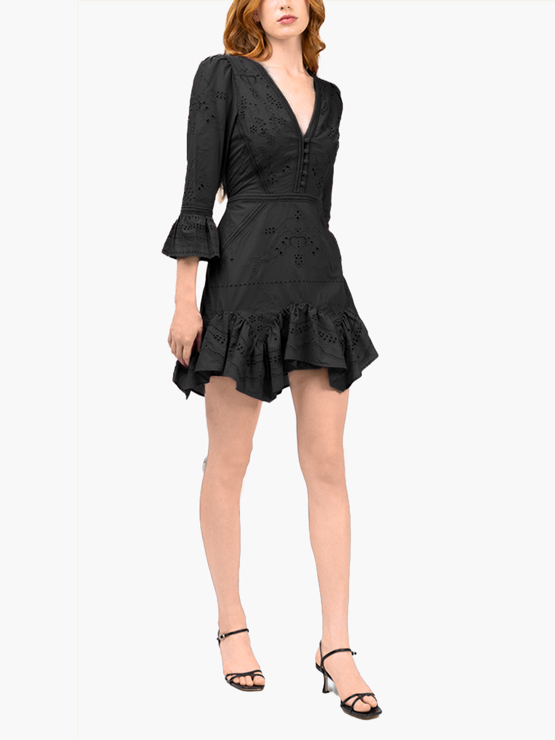 Embroidered Cotton Voile Mini Dress