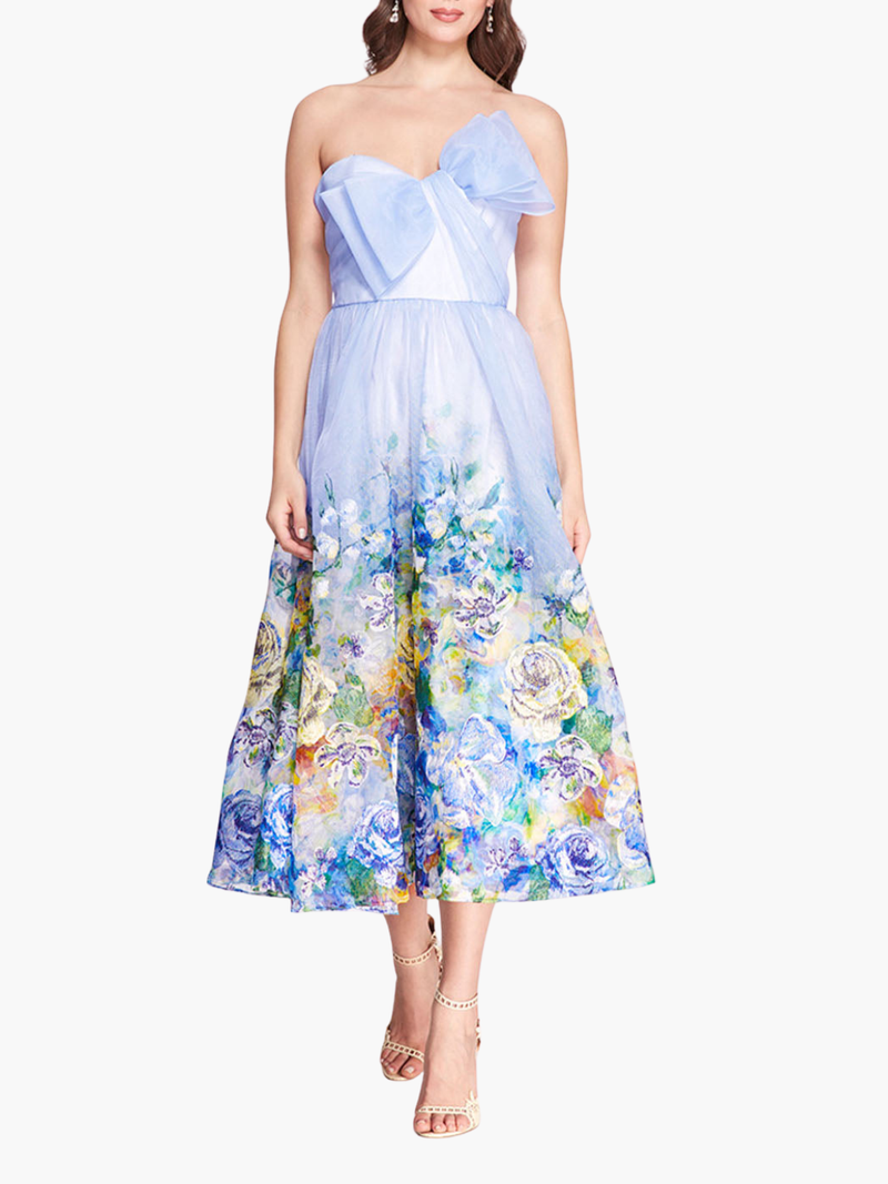 Embroidered Organza Strapless Midi Dress