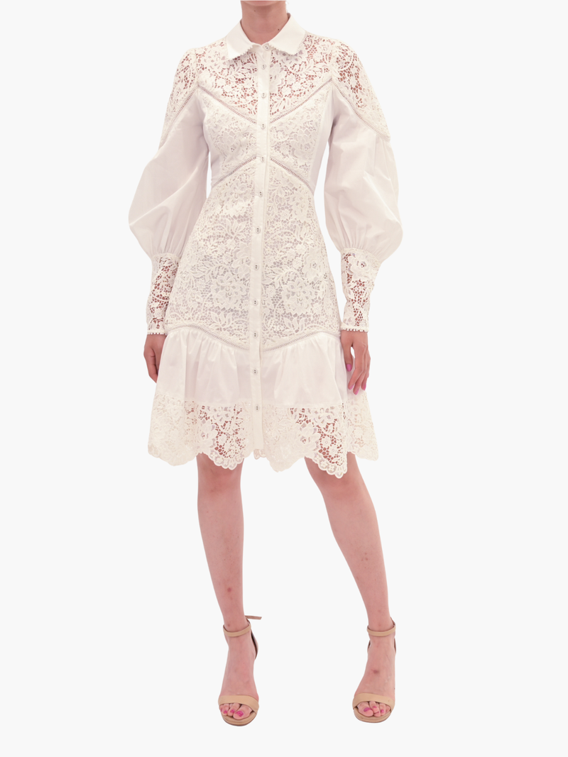 Lace Guipure Mini Dress