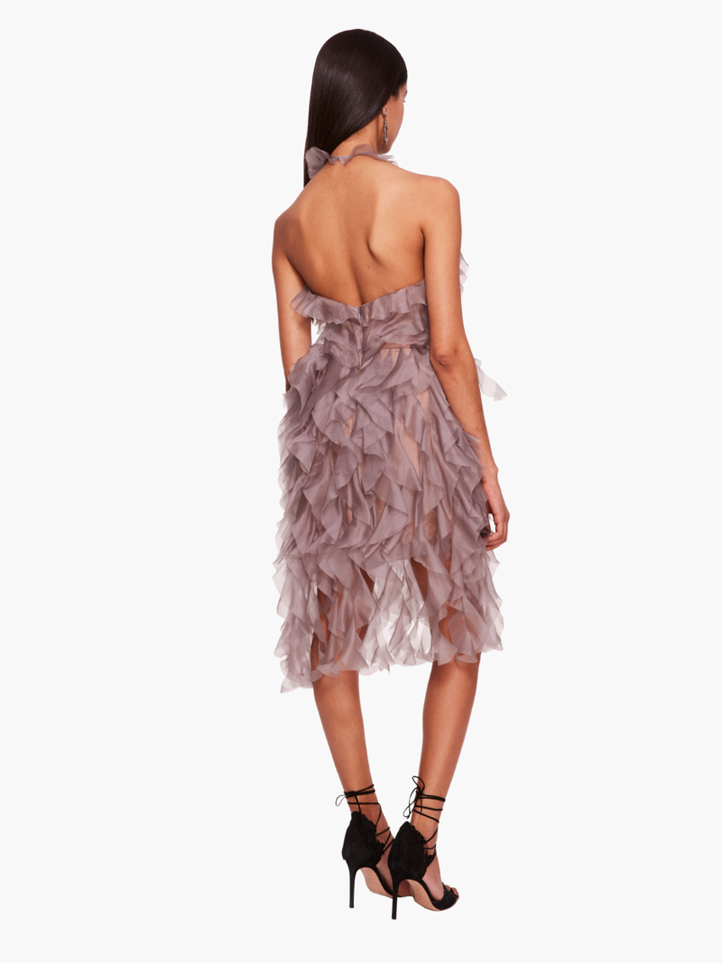 Matte Organza Mini Dress