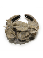GOLD SLATE MARCHESA COUTURE X LELE SADOUGHI CRAWFORD APPLIQUE HEADBAND