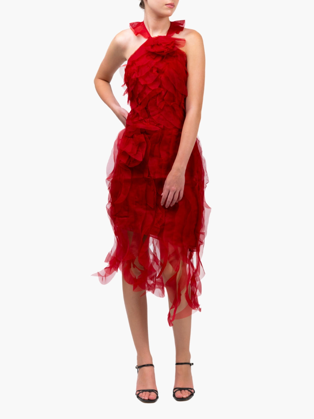 Matte Organza Mini Dress